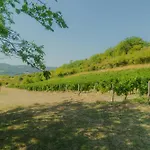 La Souche Fleurie, Marcel Σπίτι διακοπών