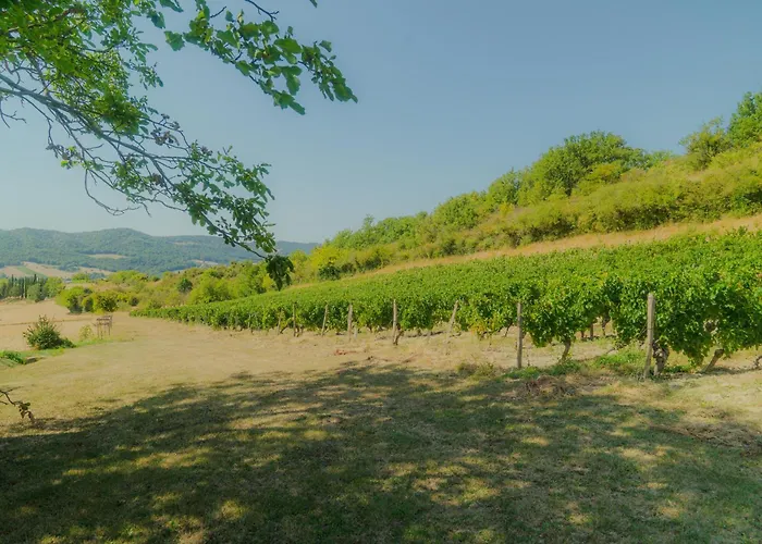 La Souche Fleurie, Marcel Casa de Férias
