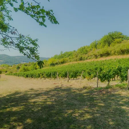La Souche Fleurie, Marcel Ferienhaus