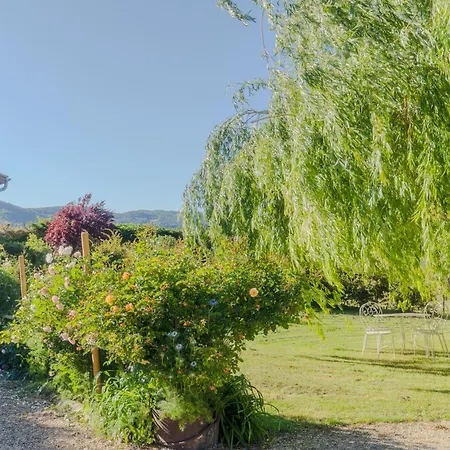 La Souche Fleurie, Marcel